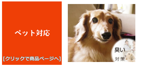 石川 [内装リフォーム]ペット対応/生のり付き壁紙